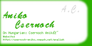 aniko csernoch business card